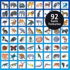 KOSMOS Können Schweine Fliegen?, Brettspiel -Playmobil Store KOSMOS K nnen Schweine fliegen Brettspiel@@1525219 2